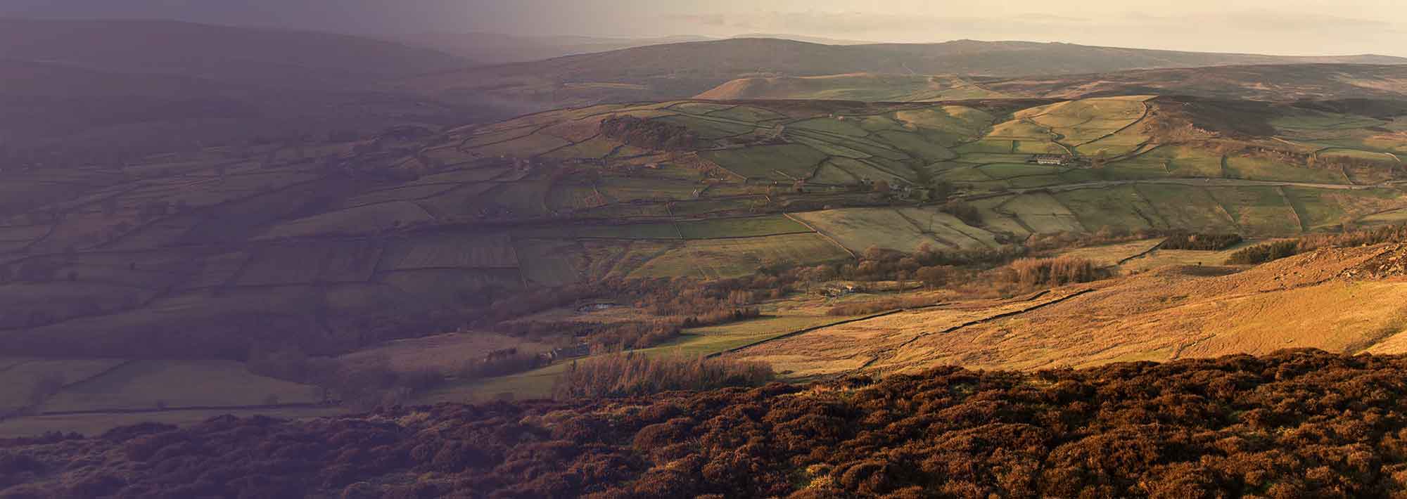 Together, ensuring a legacy of Nature-based Solutions (NbS)