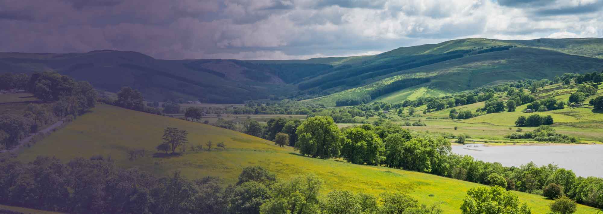 A local partnership dedicated to implementing nature-based solutions.