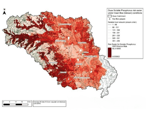 Relative risk from phosphorus from Fieldmouse