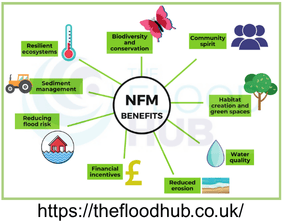 A FloodHub Diagram showing the benefits of Natural Flood Management including Resilient Ecosystems, Biodiversity and Conversation, Community Spirit, Habitat creation and Green Spaces, Water Quality, Reduced erosion, Financial incentives and more