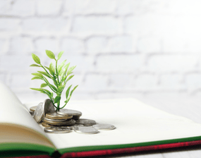 a green plant growing out of the pages of a book