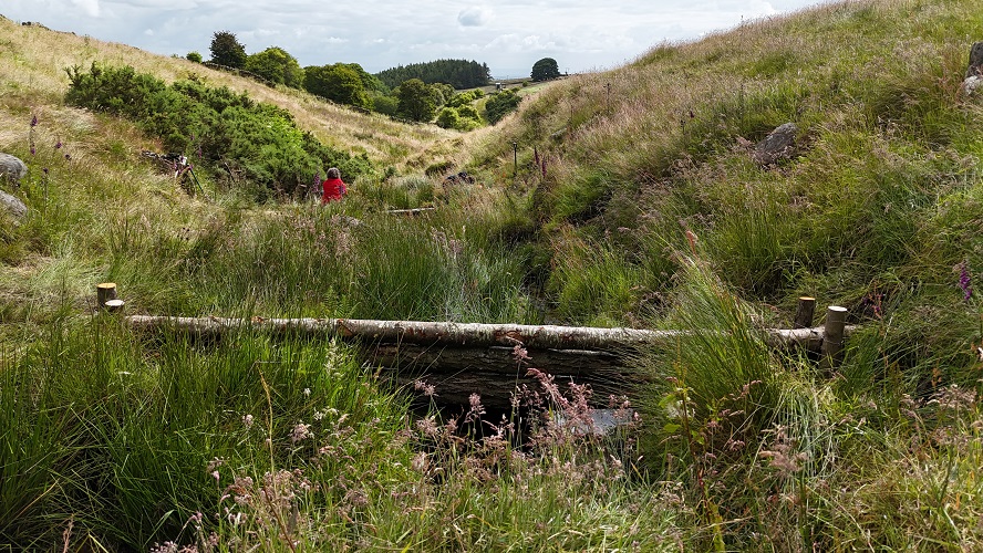 A view of the Leaky Barrier installation in the bottom of a small valley