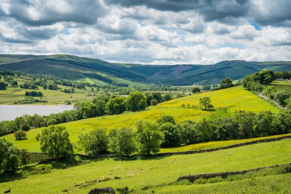 Mixed upland landscape showing farmland, woodland, water and varied topography across the Upper Ure catchment.