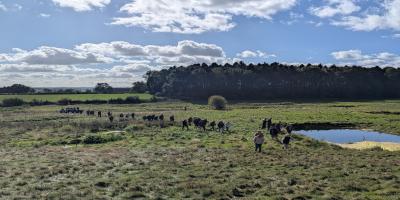 Participants walk across a meadow at Hauxwell Open Day, passing a pond and woodland under a sunny autumn sky.