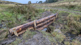 Leaky Dams October Delivery