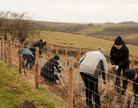 A group checking the trees which have been planted.