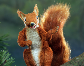 Cumbria Wildlife Trust "Wood You Believe It" campaign - Twiggy the Red Squirrel.